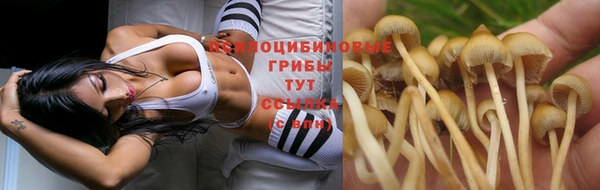 бошки Заволжье