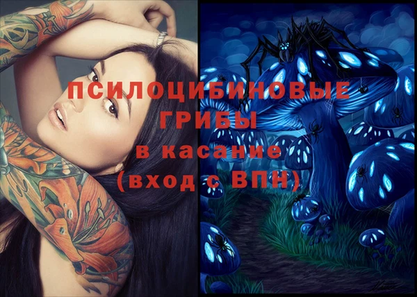 метадон Заводоуковск