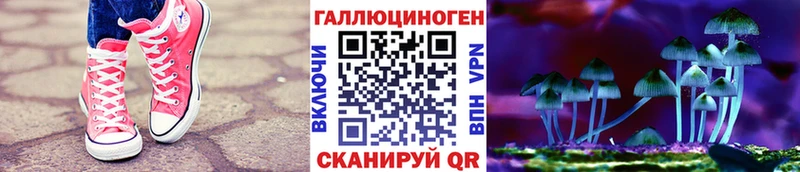 Галлюциногенные грибы Psilocybe  Купить  Берёзовский 